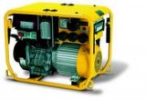ESE 604 DYG DIN - elektrocentrála pro hasiče ENDRESS, krytí IP54